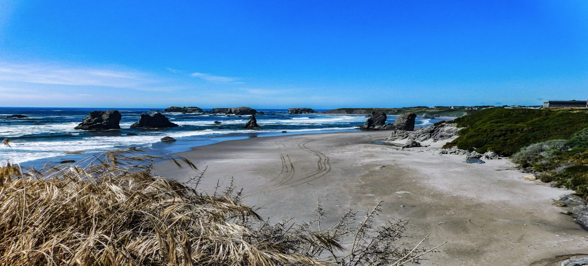  Oregon Coast - Bandon