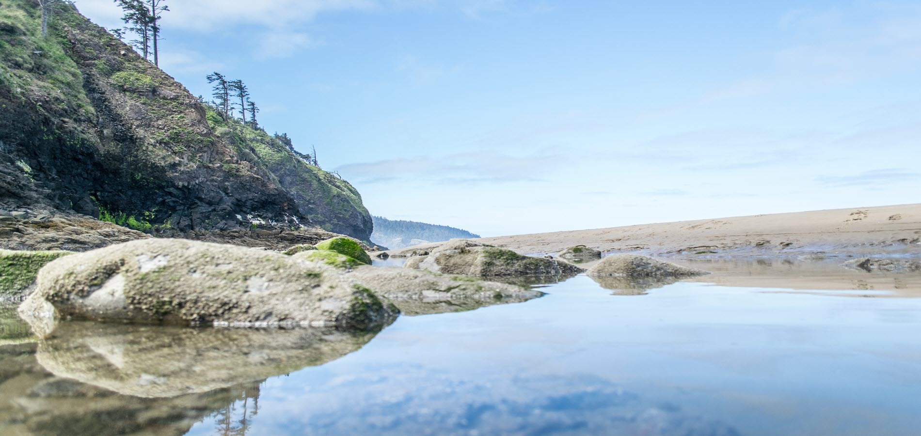 Oregon Coast